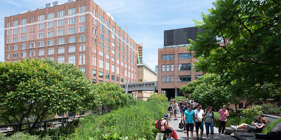 The Green City_High Line_New York City